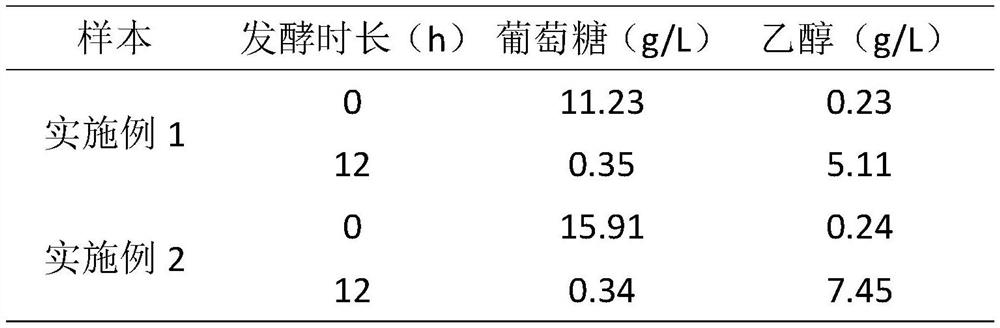 Method for improving quality of DDGS (distillers dried grains with soluble) in corn ethanol process through secondary fermentation of distillers' grains