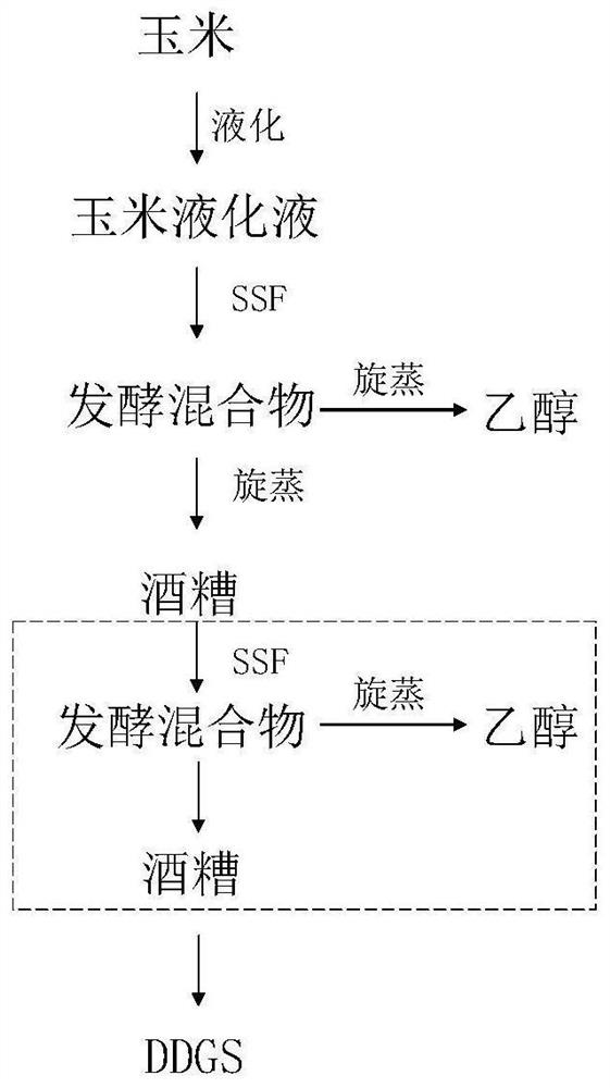 Method for improving quality of DDGS (distillers dried grains with soluble) in corn ethanol process through secondary fermentation of distillers' grains