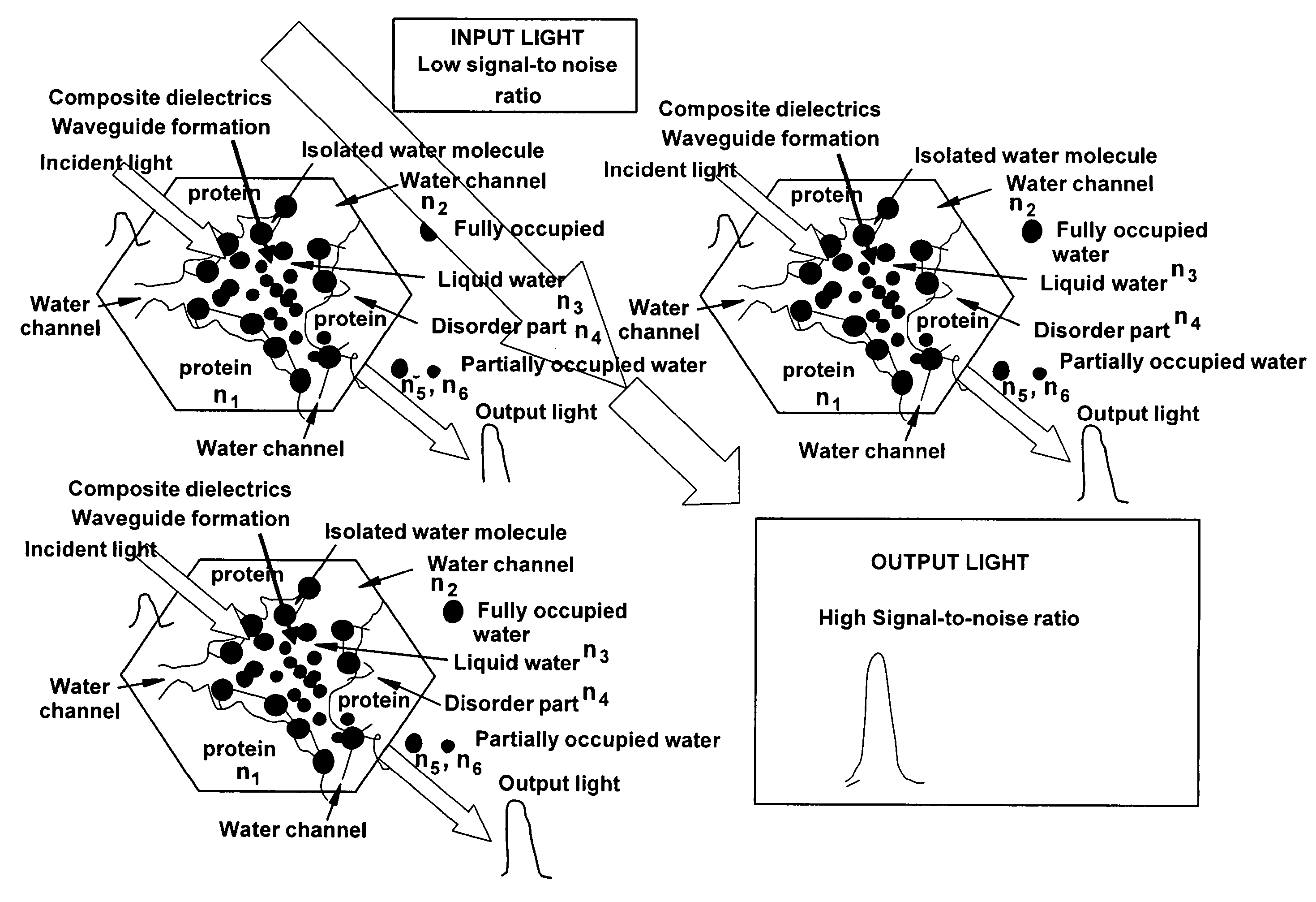 Molecular and photonic nanostructures, optical biomaterials, photo-sensitizers, molecular contrast agents and metamaterials