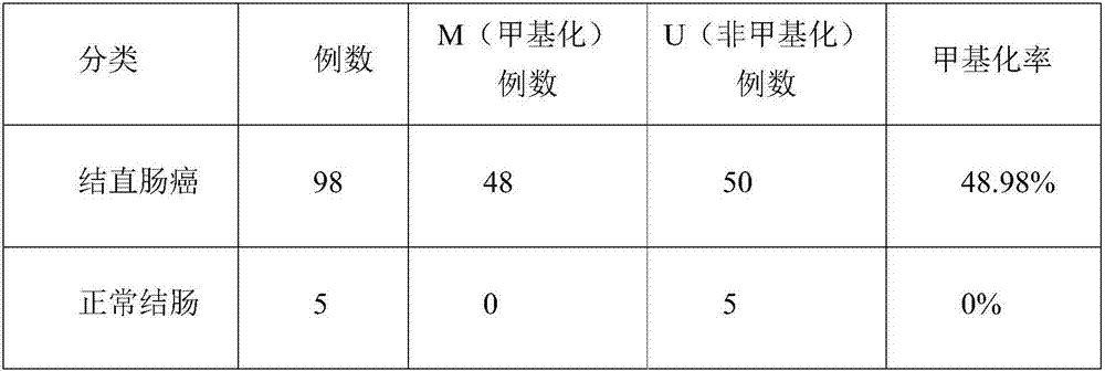 Primer pair for detecting DNA methylation state of promoter region of cell RAI2 gene and kit