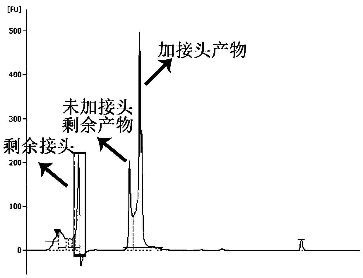 BRCA (breast cancer susceptibility gene) high-throughput sequencing library and construction method and application thereof