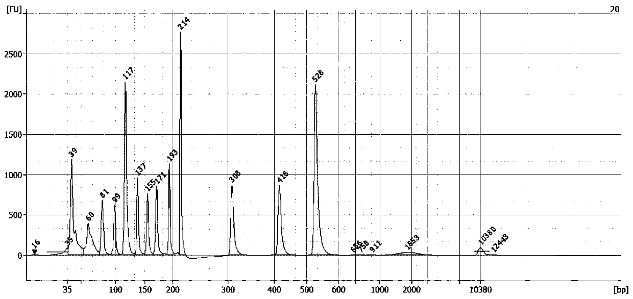 BRCA (breast cancer susceptibility gene) high-throughput sequencing library and construction method and application thereof