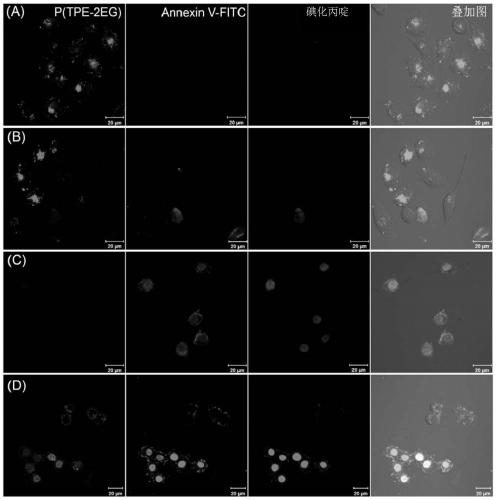 Conjugated polymer with aggregation-induced luminescent properties, preparation method and use thereof