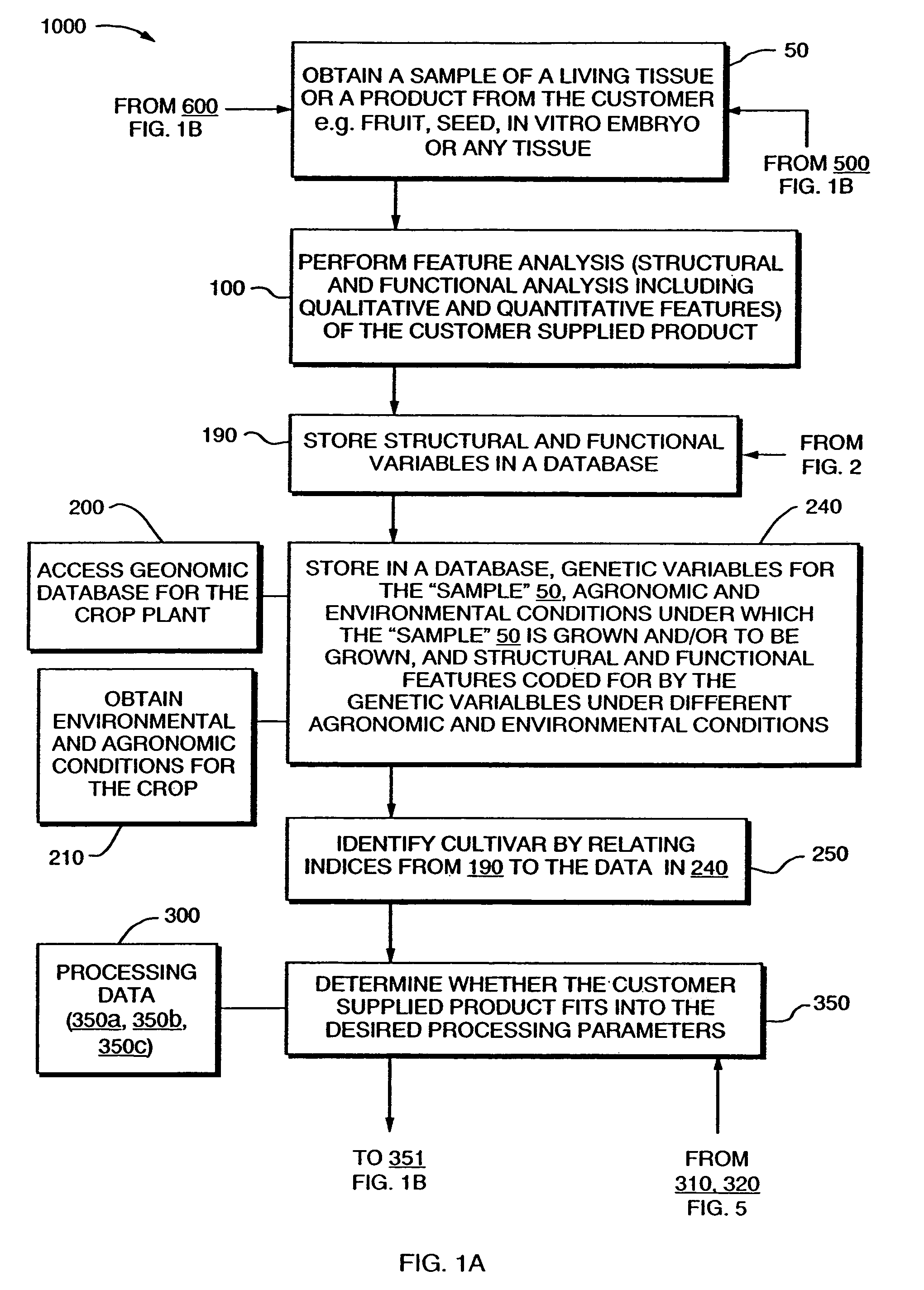 Method and information system for non-random selection of uniform structural and functional features for tissue and plant product processing