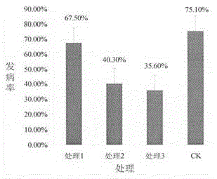 Microbial compound bacteria for preventing and treating citrusyellowshoot and preparation method and application thereof