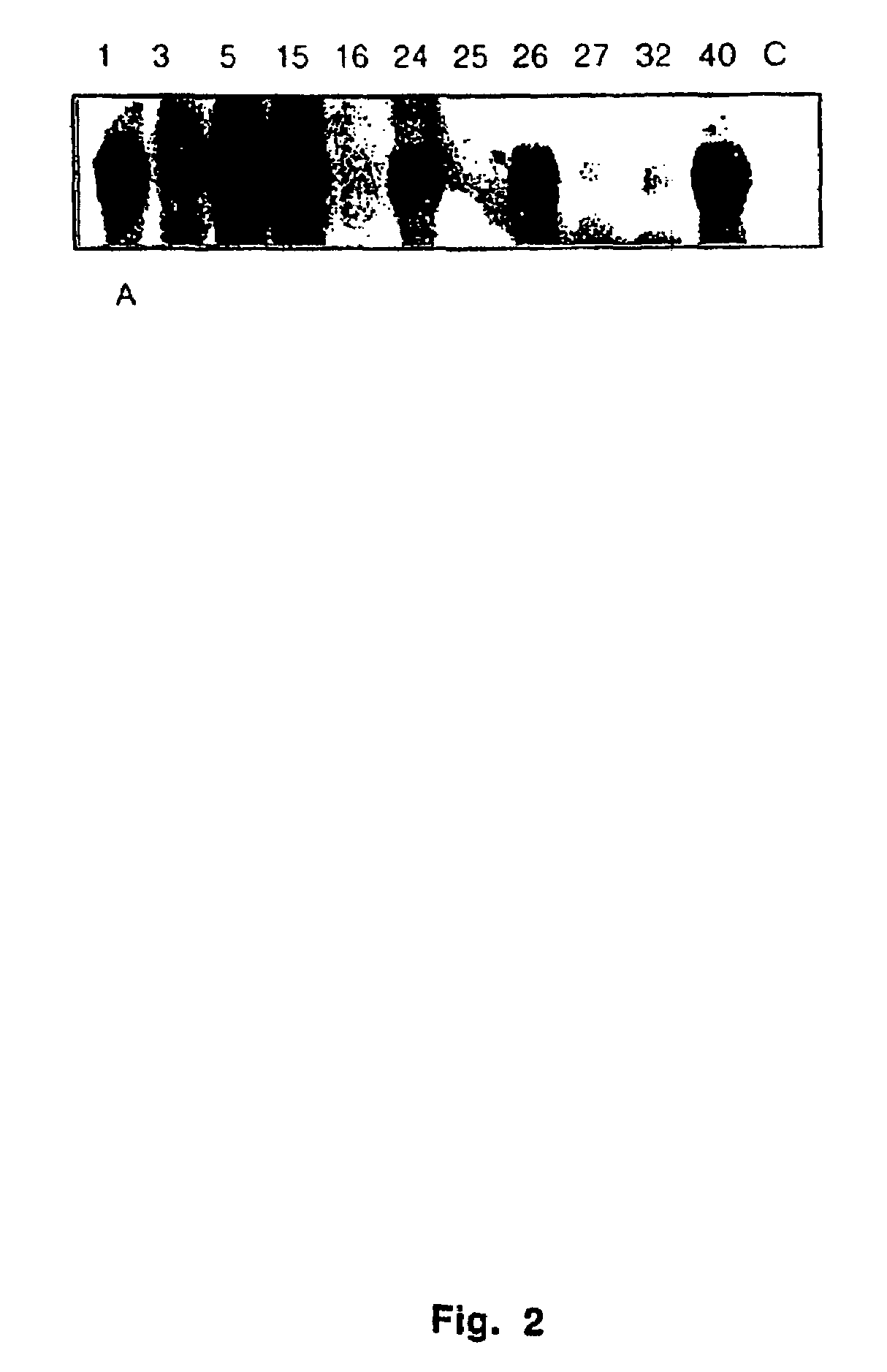 Regulating metabolism by modifying the level of trehalose-6-phosphate