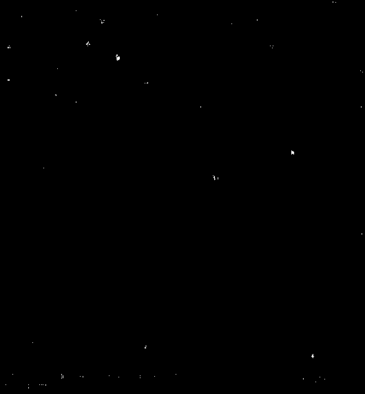 A kind of paeonol nano sustained-release preparation and preparation method thereof