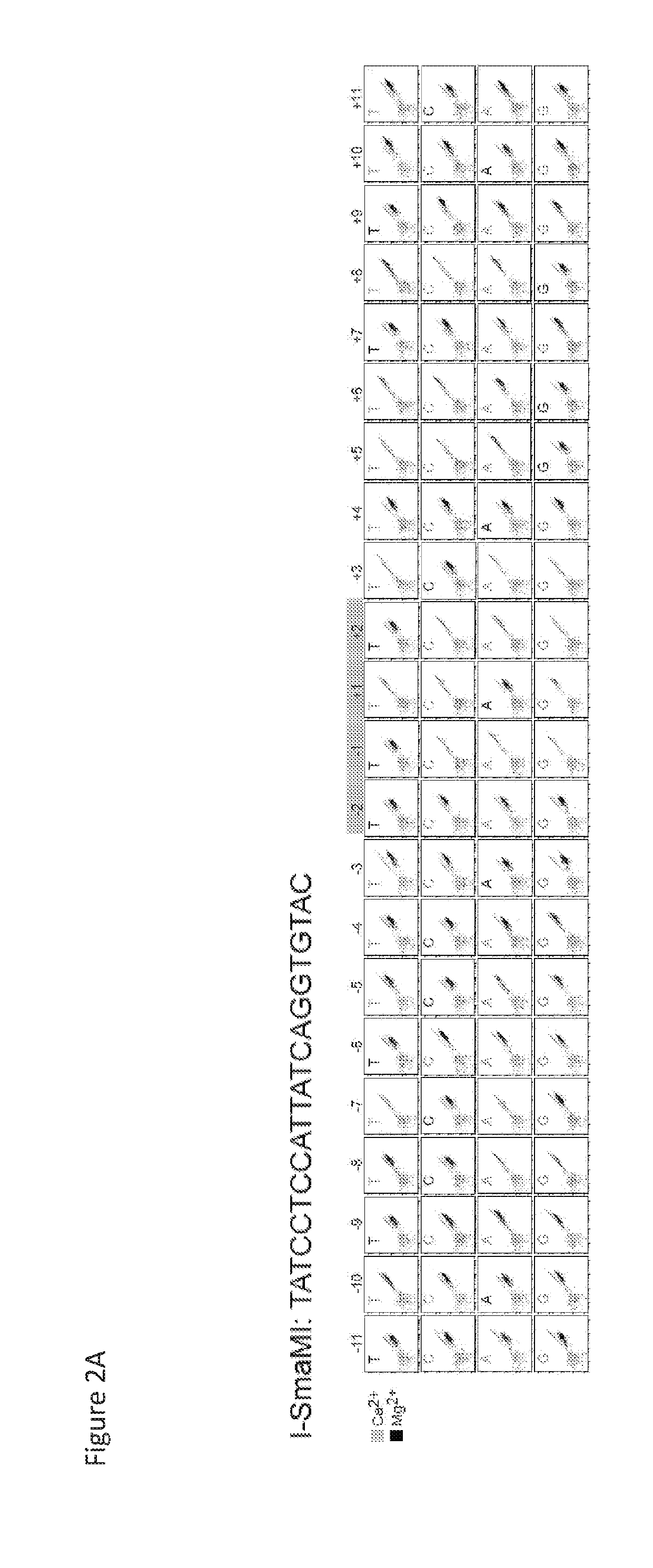 Bcl11a homing endonuclease variants, compositions, and methods of use