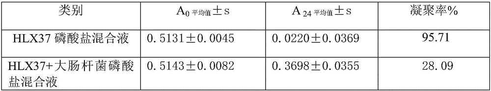 Medicine and food homologous food extract freeze-dried powder with high nutrition value and preparation method of freeze-dried powder