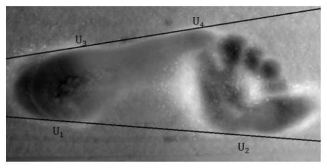 Three-dimensional footprint modeling and feature extraction method and system