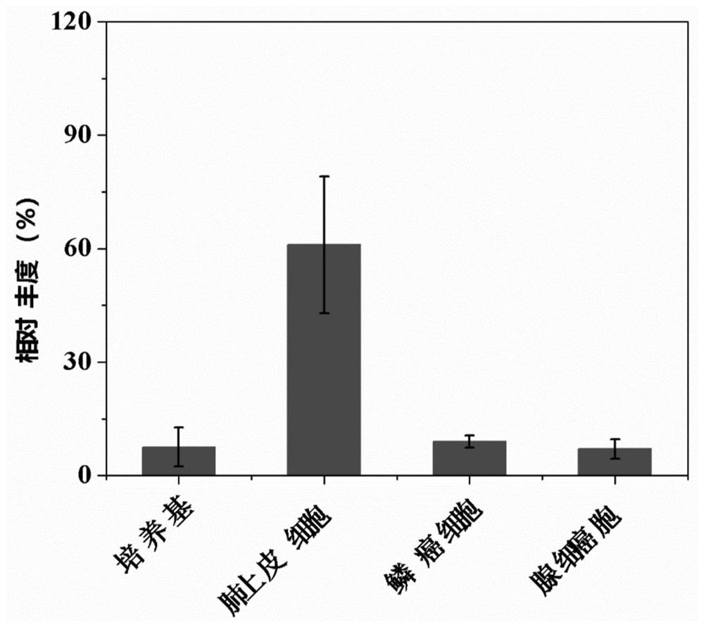 Lung cancer gas marker in expiration and application of lung cancer gas marker in lung cancer screening