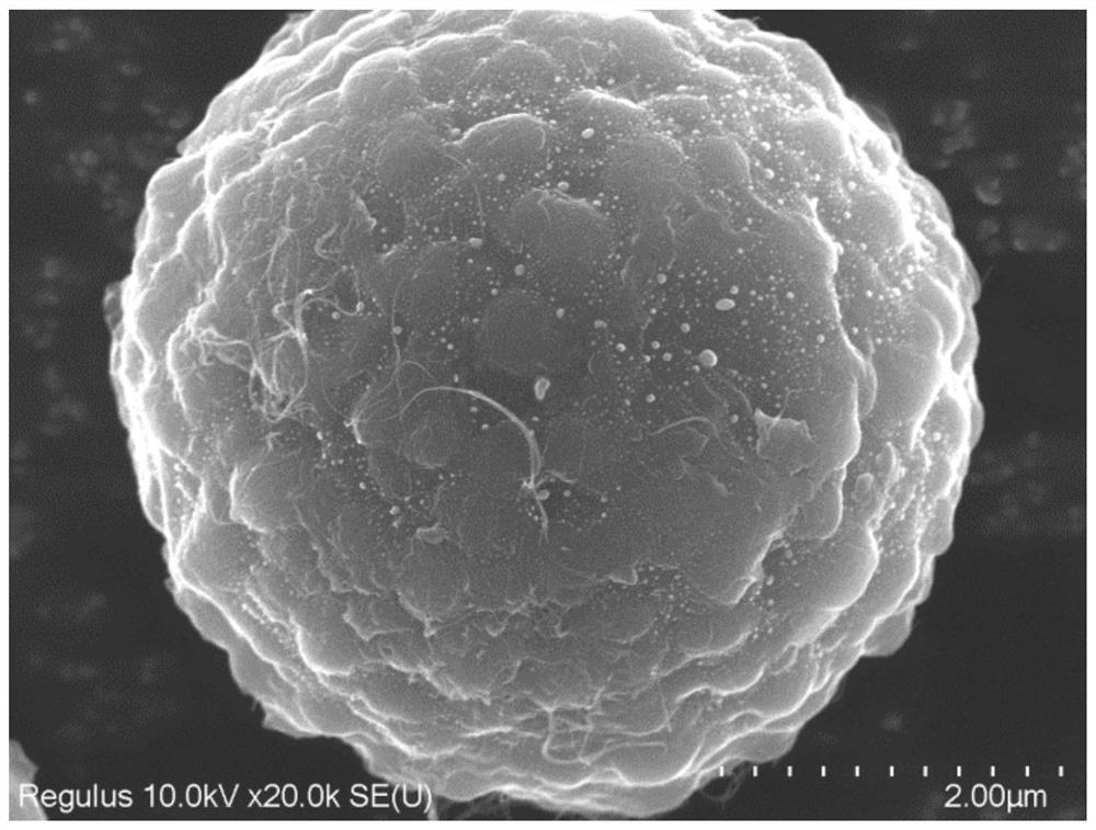 Carbon nanotube hard carbon composite negative electrode material with core-shell structure, preparation method and application