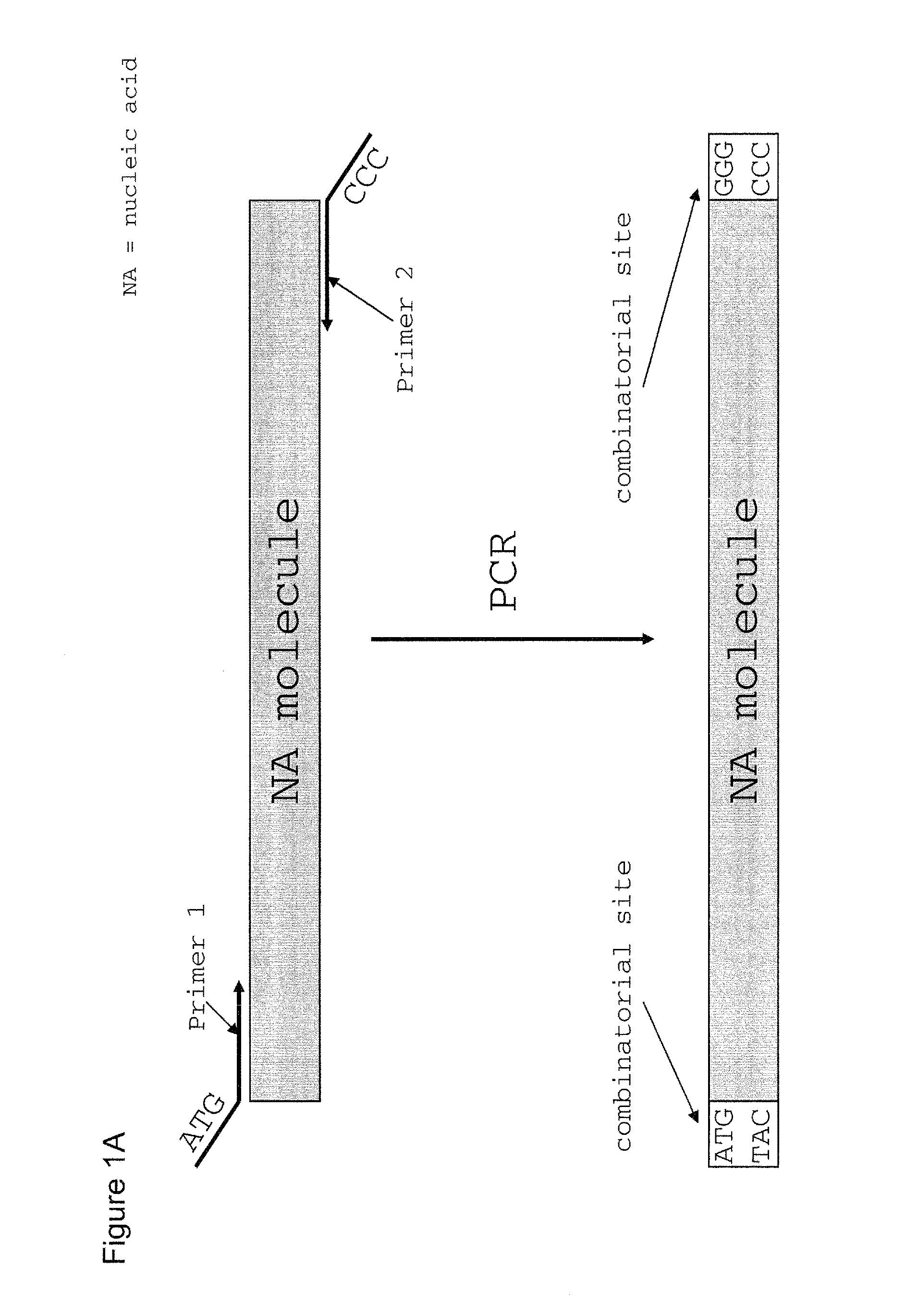 Method of cloning at least one nucleic acid molecule of interest using type iis restriction endonucleases, and corresponding cloning vectors, kits and system using type iis restriction endonucleases