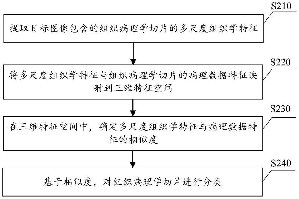 Subtype classification method and device for histopathologic section, medium and terminal