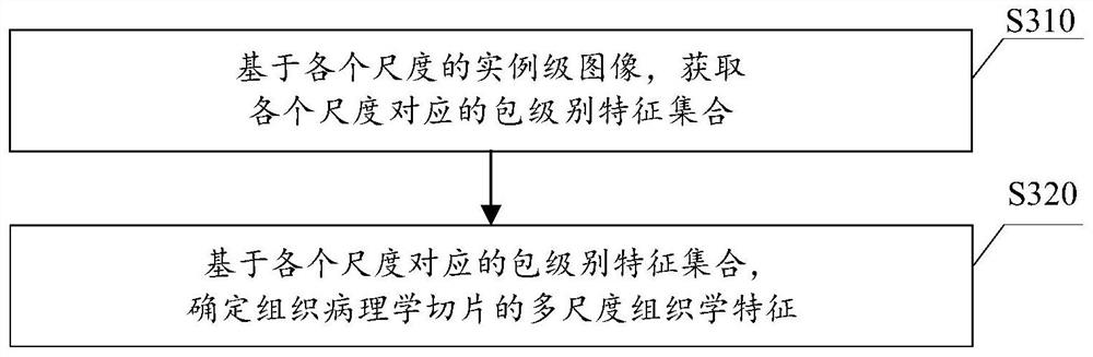 Subtype classification method and device for histopathologic section, medium and terminal