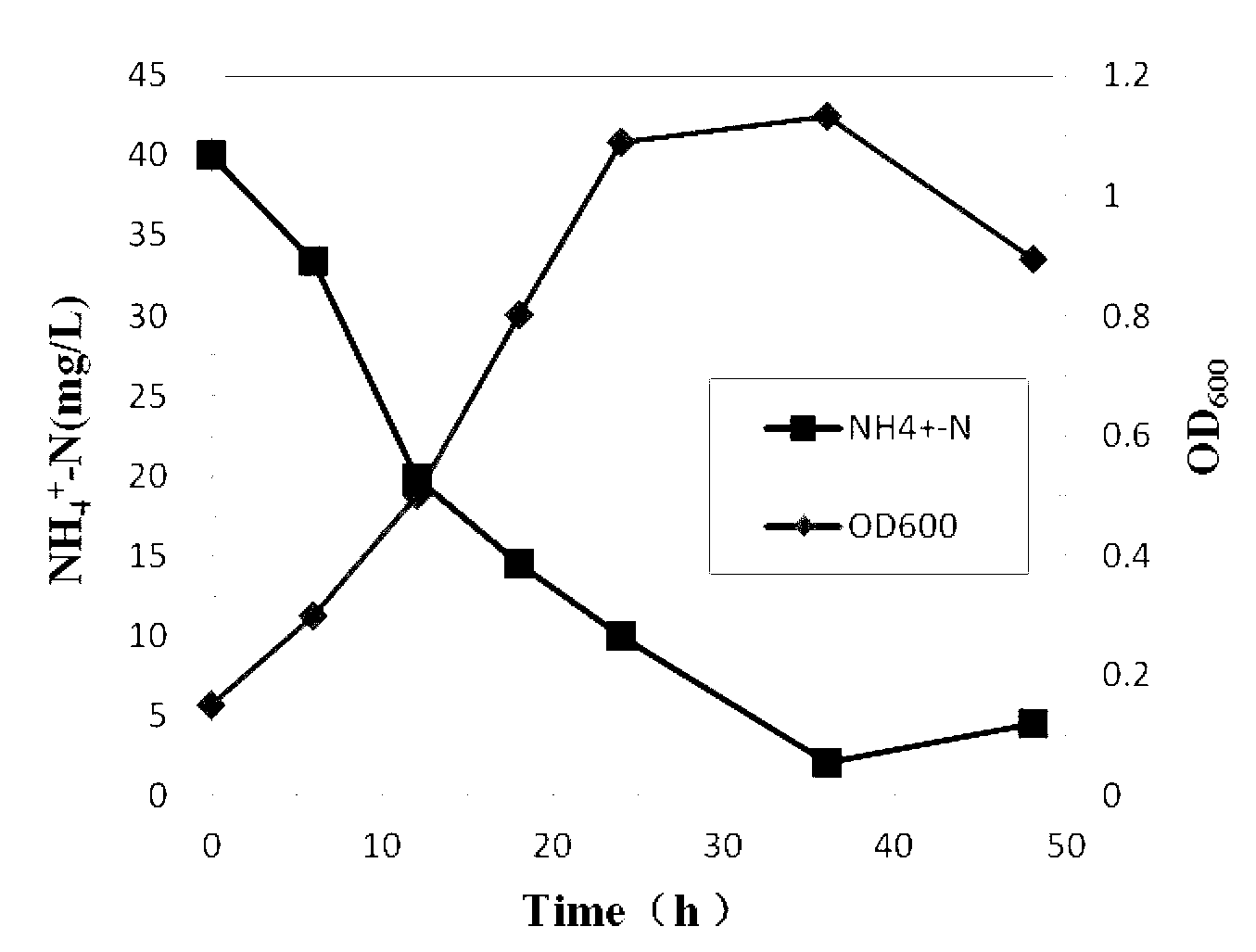 Small brevibacterium strain capable of carrying out biological denitrification under high-salt condition and application of small brevibacterium strain to wastewater treatment