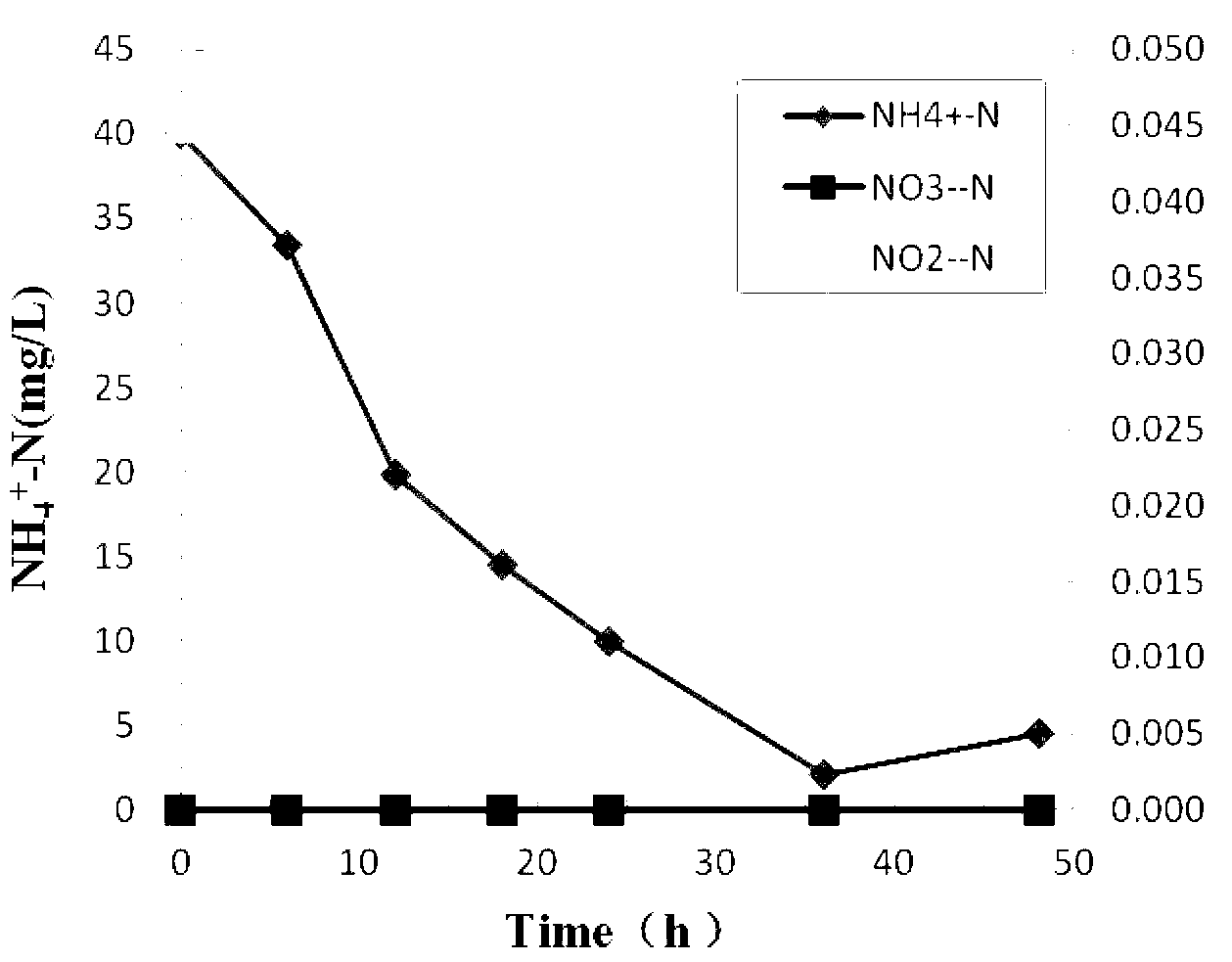 Small brevibacterium strain capable of carrying out biological denitrification under high-salt condition and application of small brevibacterium strain to wastewater treatment