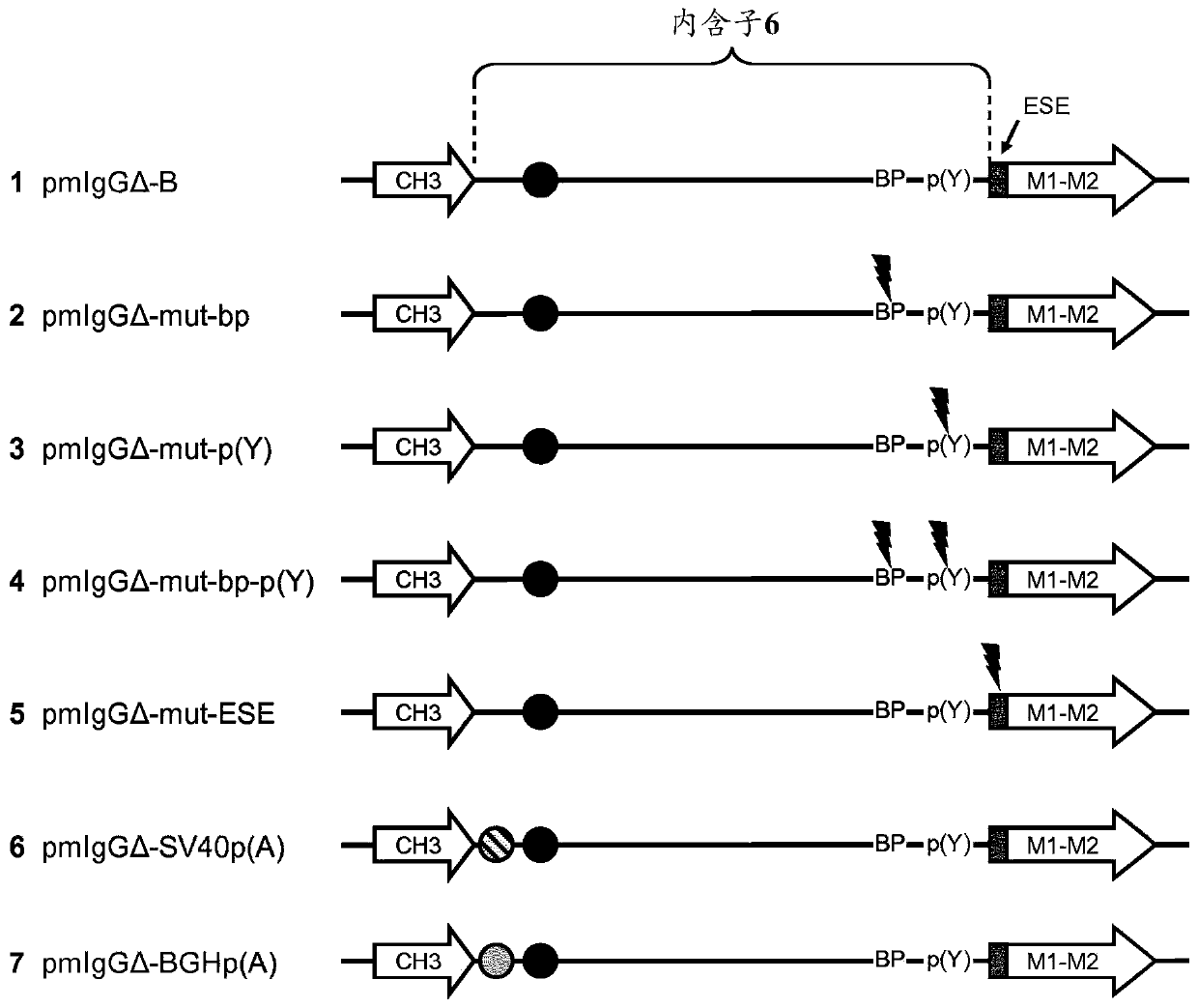 Improved method for selecting polypeptide producing cells