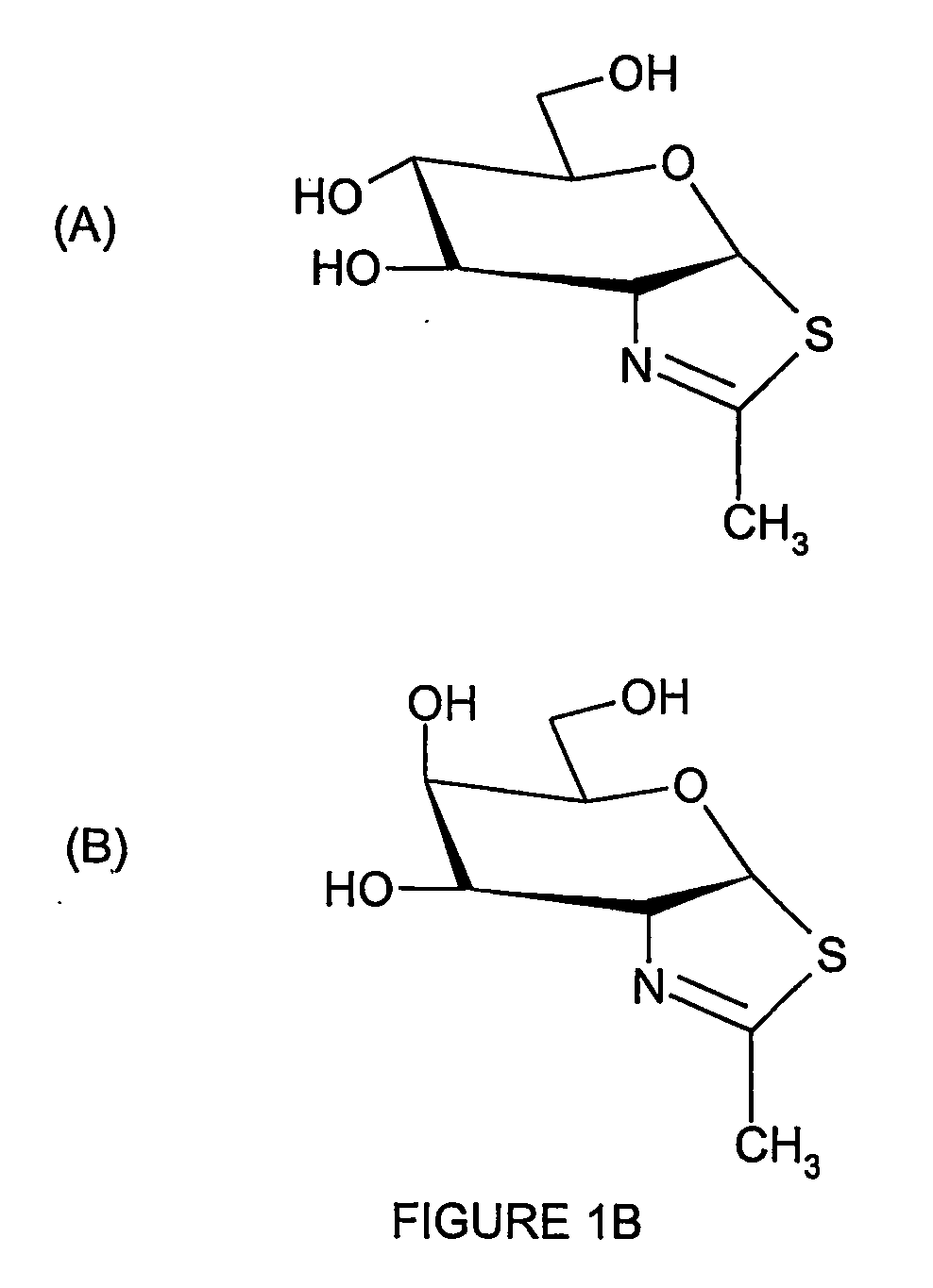 Treatment of tay sachs or sandhoff diseases by enhancing hexosaminidase activity