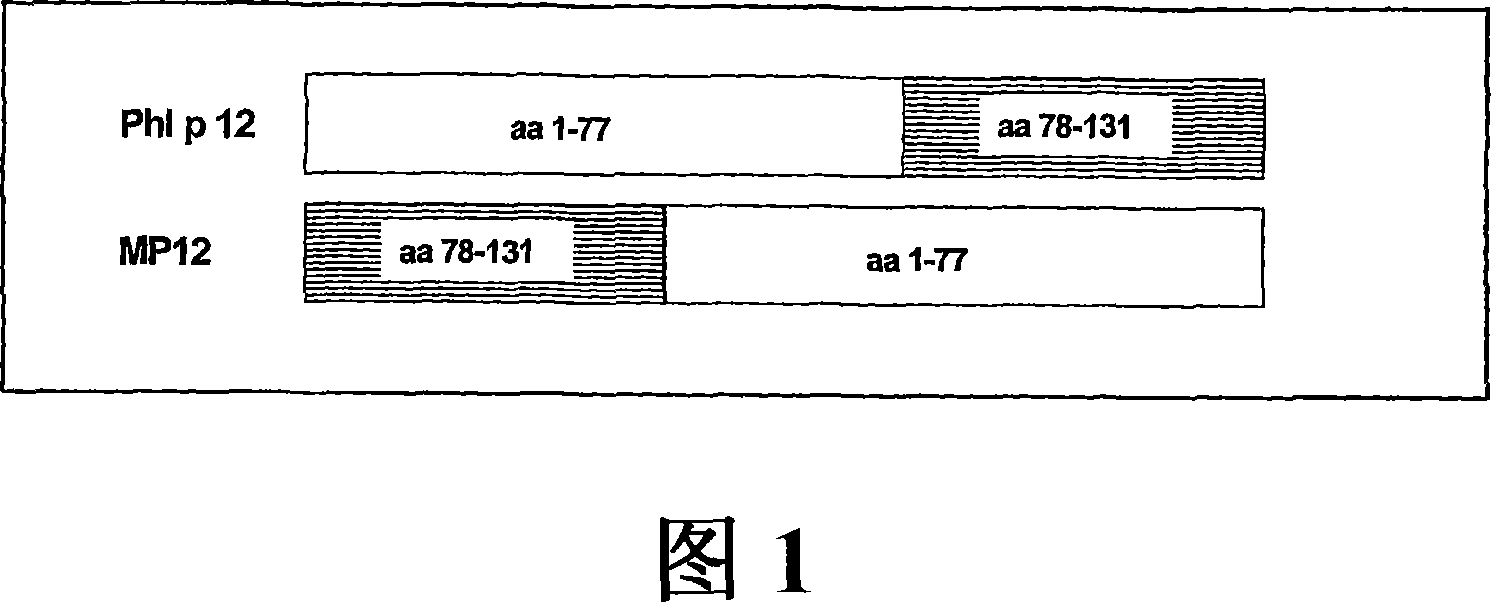 Protein allergens derivative