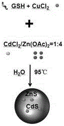 Copper-doped lattice strain quantum dots and preparation method thereof