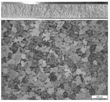 Flux-free vacuum-cast high-purity magnesium alloy and preparation method thereof