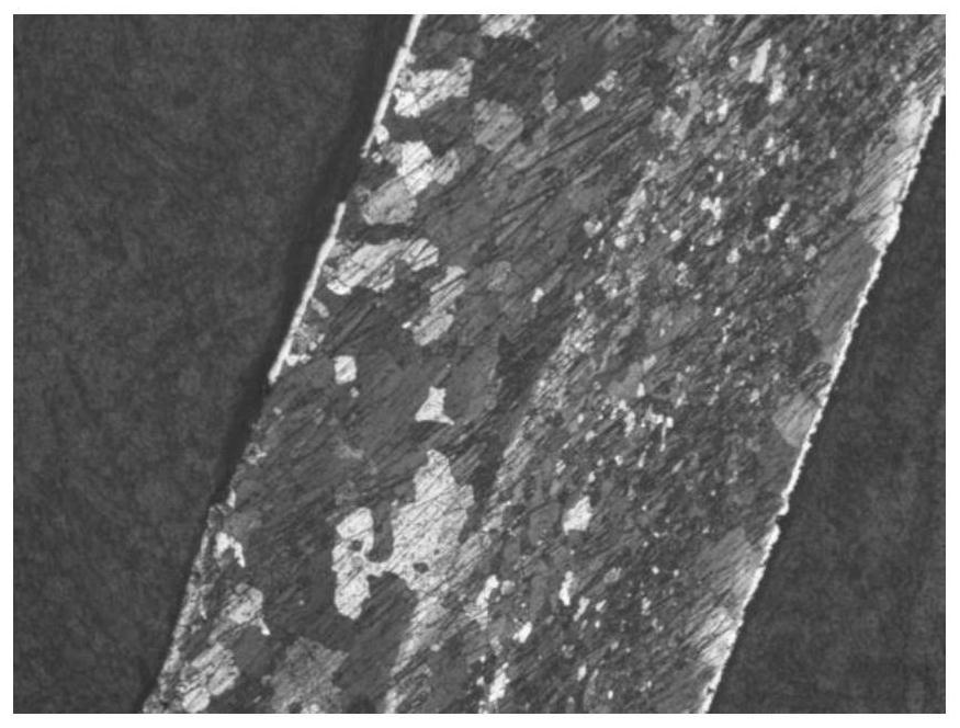 A kind of preparation method of three molybdenum phosphide coating