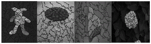 Color image segmenting method based on pixel probability density classification