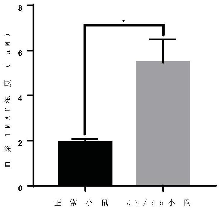 Application of FMO3 as target in screening of drugs or models for preventing and treating pancreas islet function damage