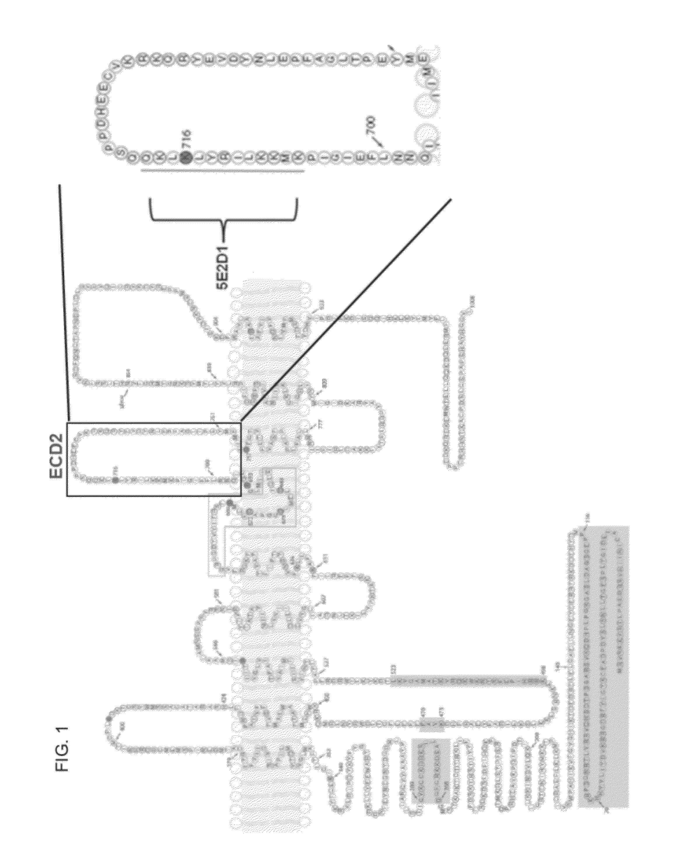 Molecules and methods for modulating tmem16a activities