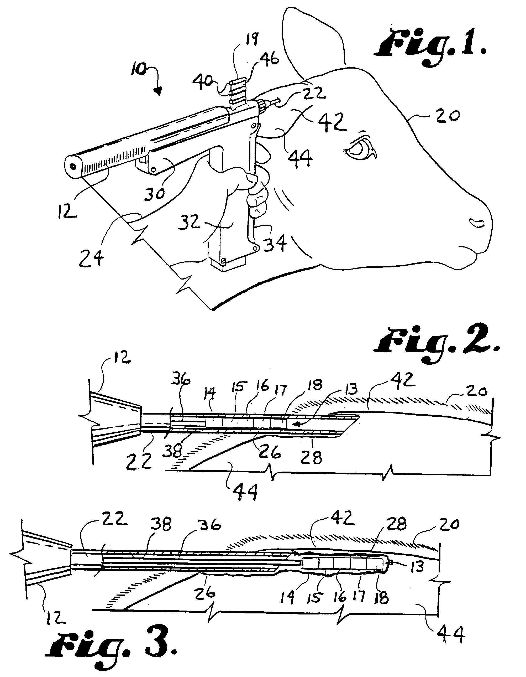 Growth promoting pharmaceutical implant