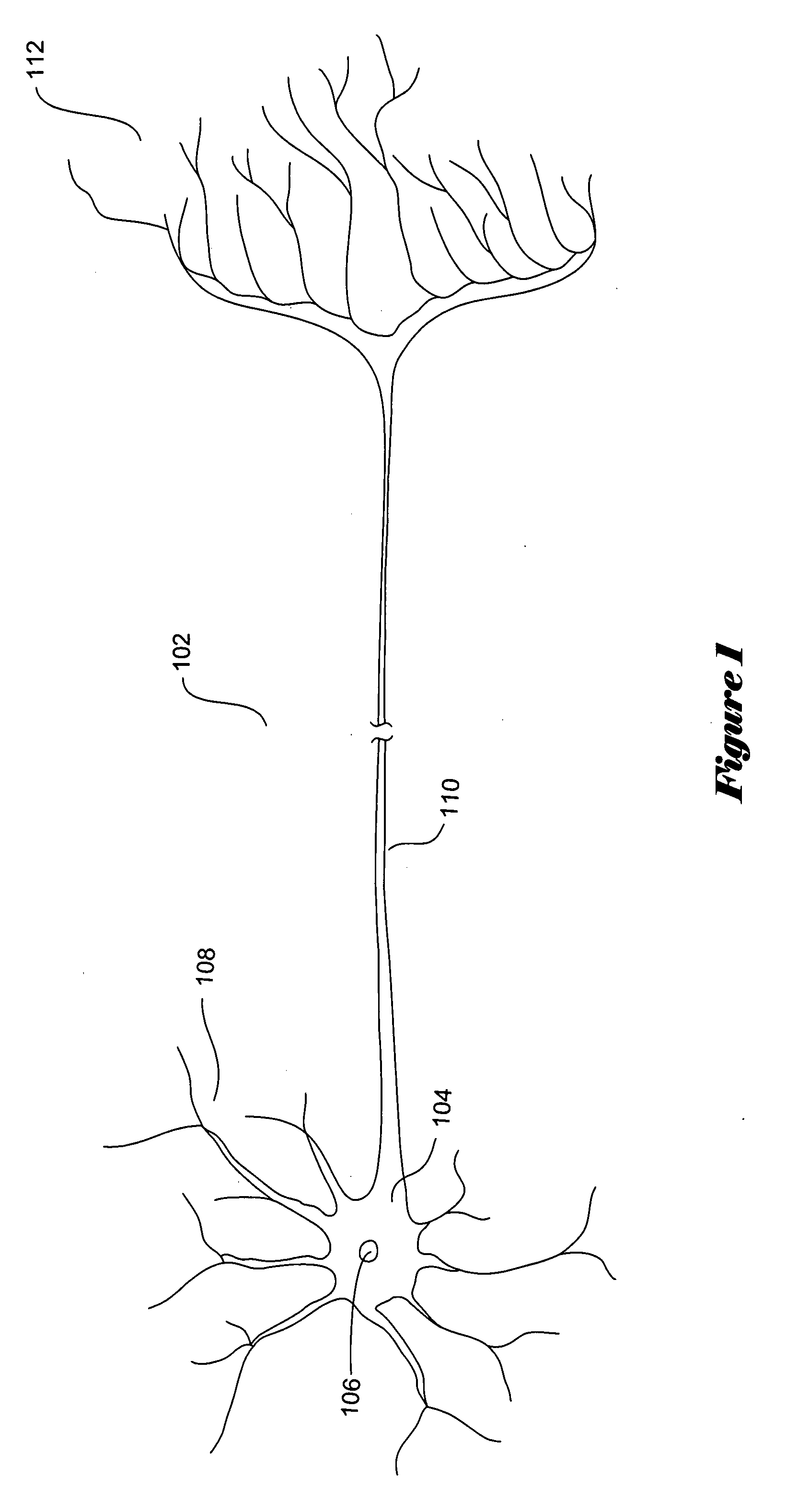 Computational nodes and computational-node networks that include dynamical-nanodevice connections