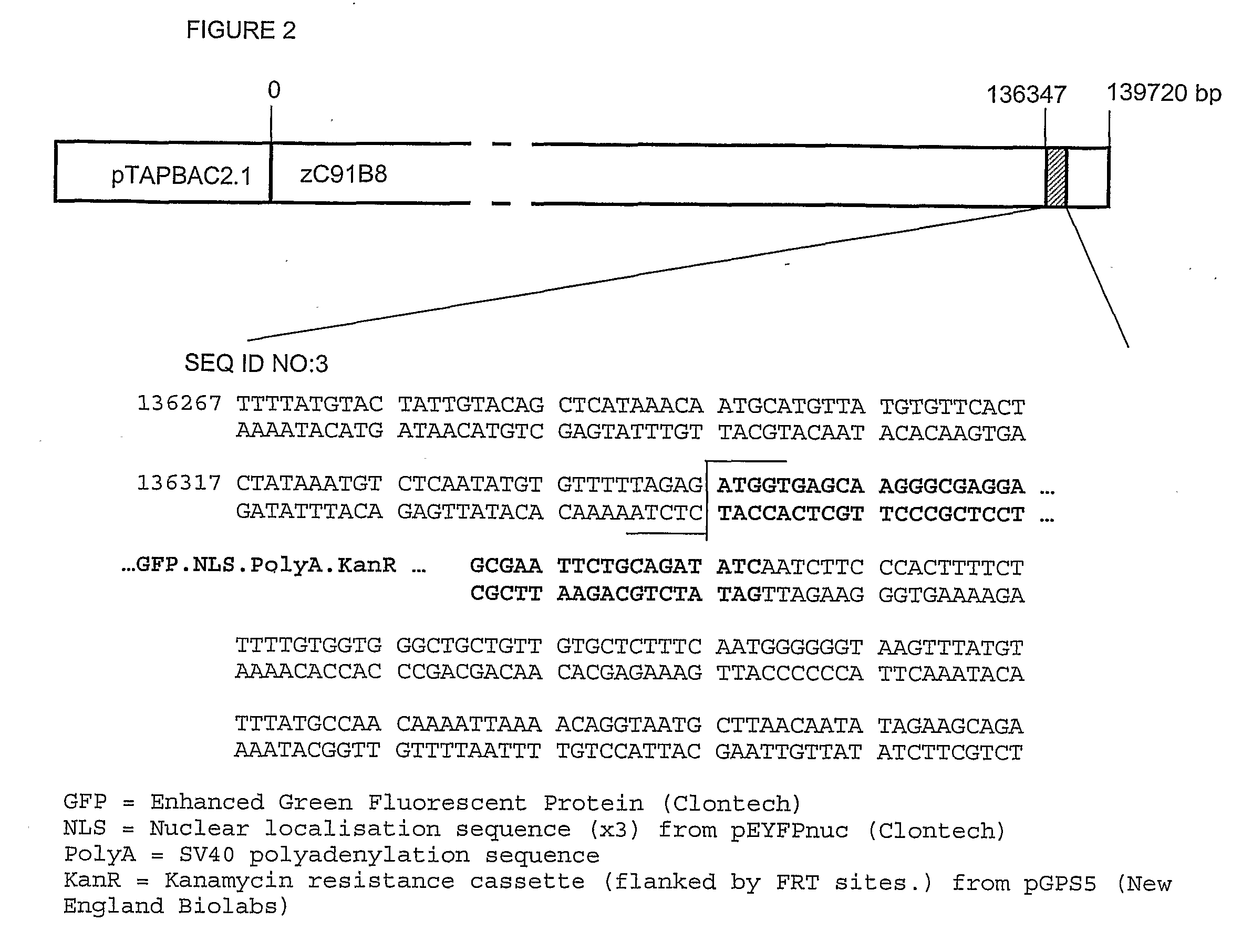 Screen for inflammatory response modulators