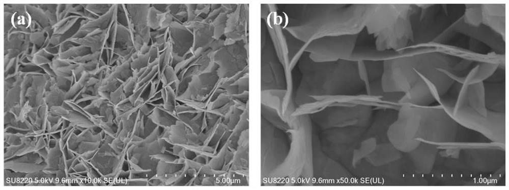 Nitrogen vacancy-doped tungsten nitride modified silver phosphate composite photocatalyst and preparation method thereof