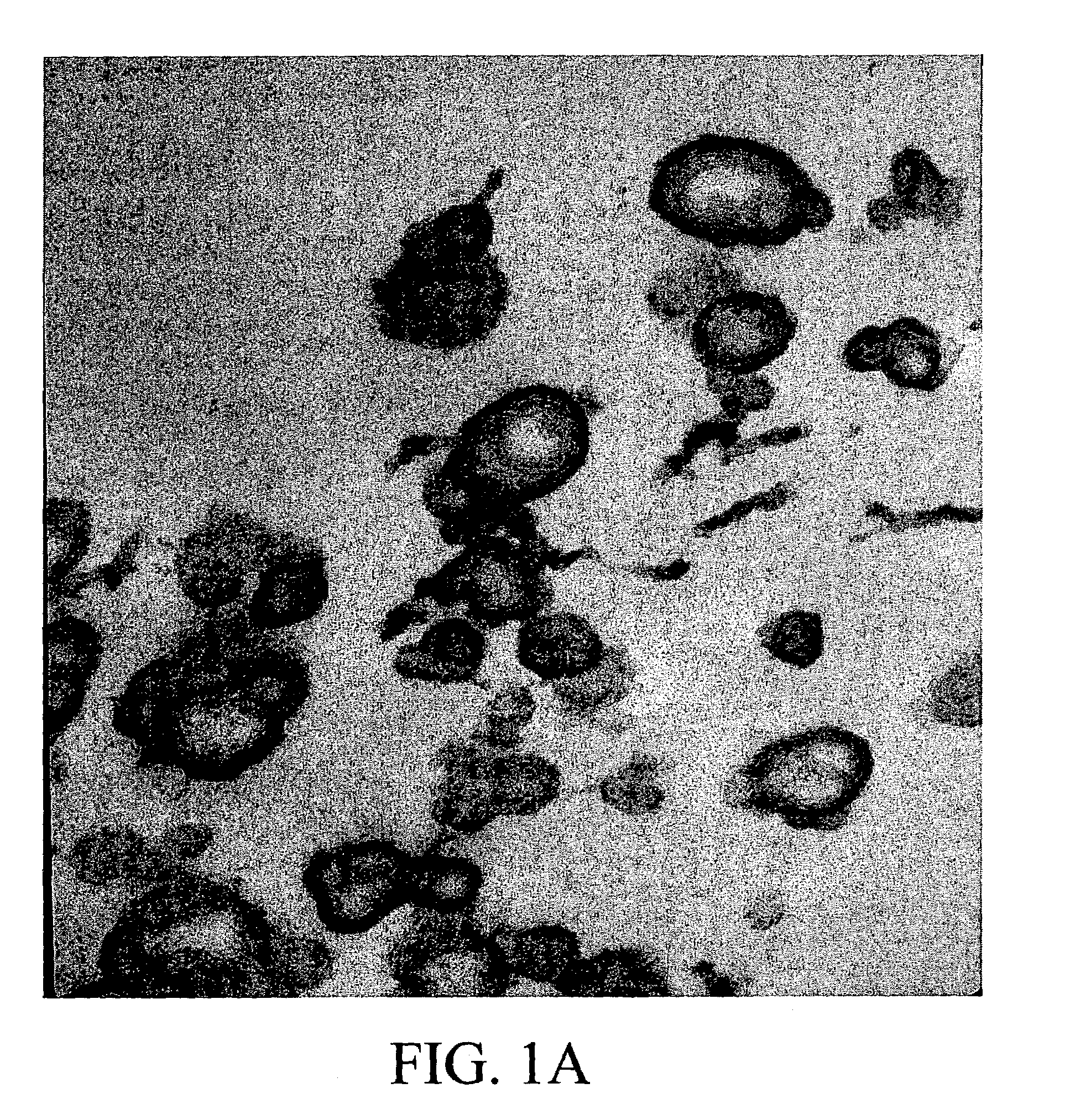 Acid diverting system containing quaternary amine