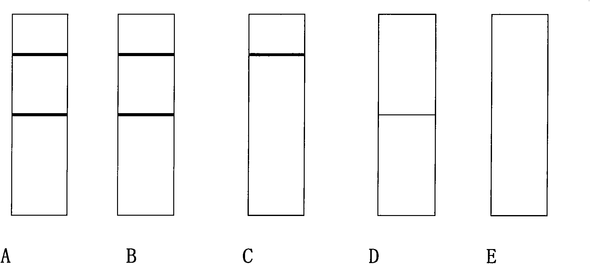 Immune colloidal gold strip for detecting residue of roxarsone and preparation method thereof