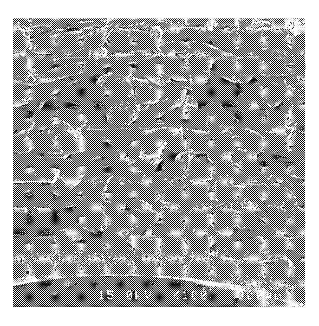 Method for the preparation of tube-type porous biodegradable scaffold having double-layered structure for vascular graft