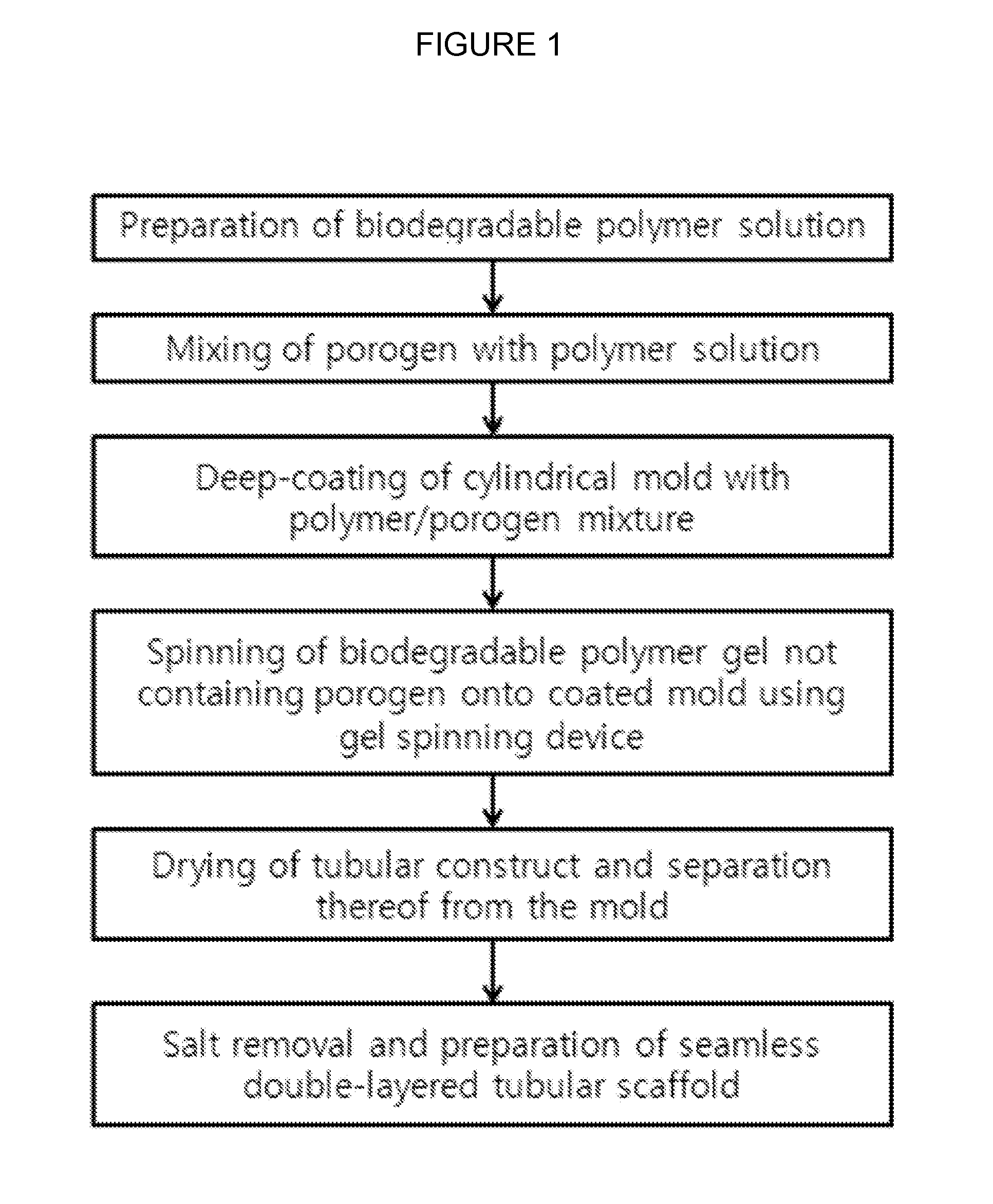 Method for the preparation of tube-type porous biodegradable scaffold having double-layered structure for vascular graft