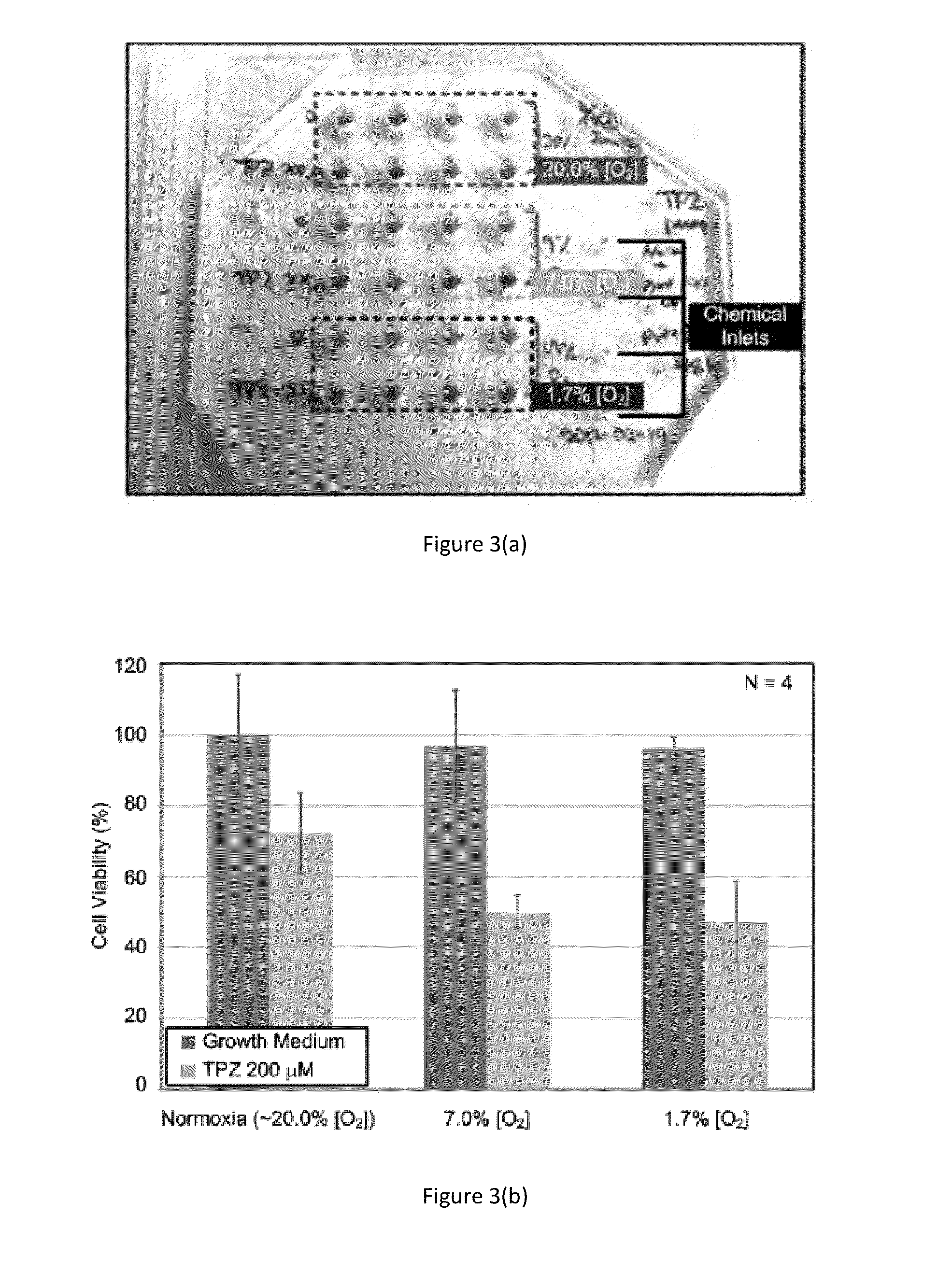 Microfluidic array platform for simultaneous cell culture under oxygen tensions