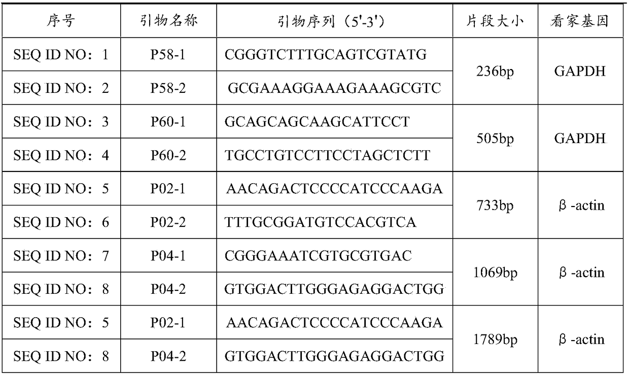 Method for evaluating DNA quality of FFPE sample