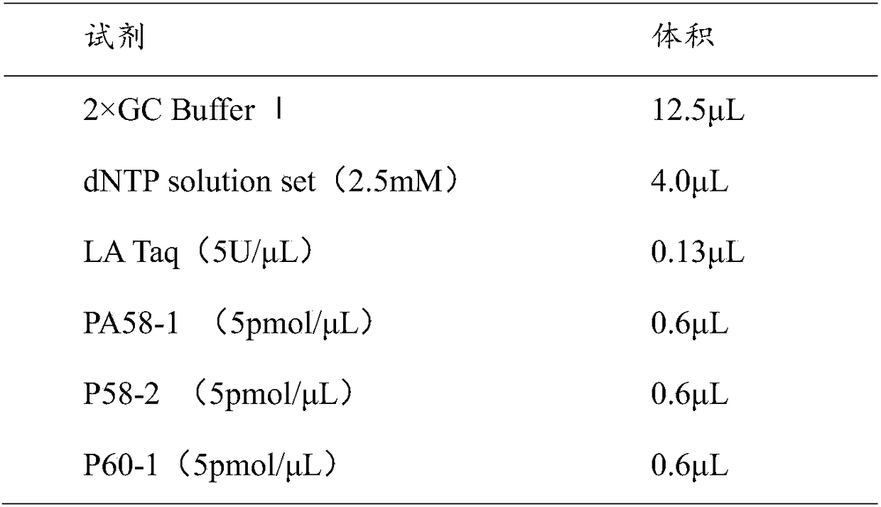 Method for evaluating DNA quality of FFPE sample