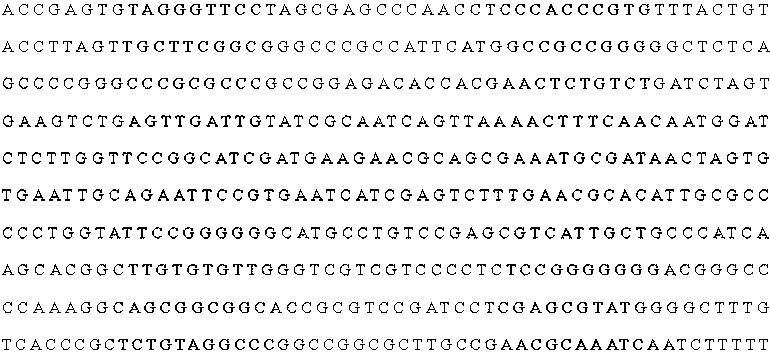 AFB1 degrading bacterium and degrading enzyme