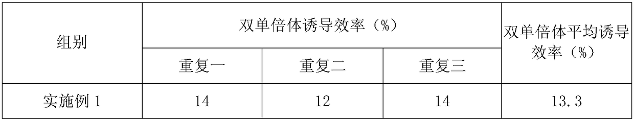 Method for breeding double haploid of corn*rice distant hybridization