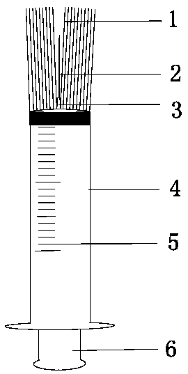 Method for breeding double haploid of corn*rice distant hybridization