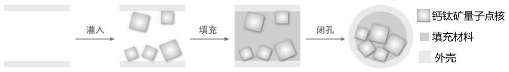 Perovskite quantum dot with core-shell filling layer, preparation method and application