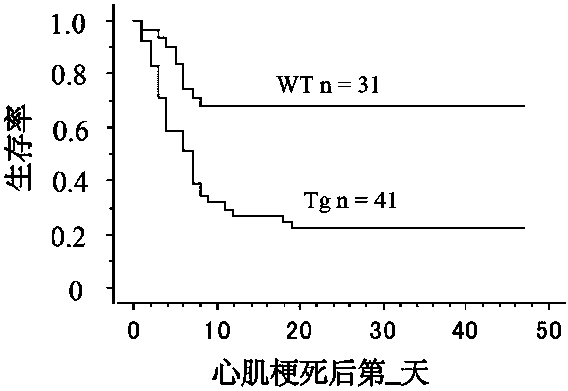 Pharmaceutical uses of NBC1 N-cyano amide sulfide inhibitor S0859