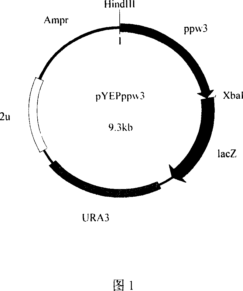 Pichia pastoris omega3-fatty acid dehydrogenase promoter sequence and use thereof