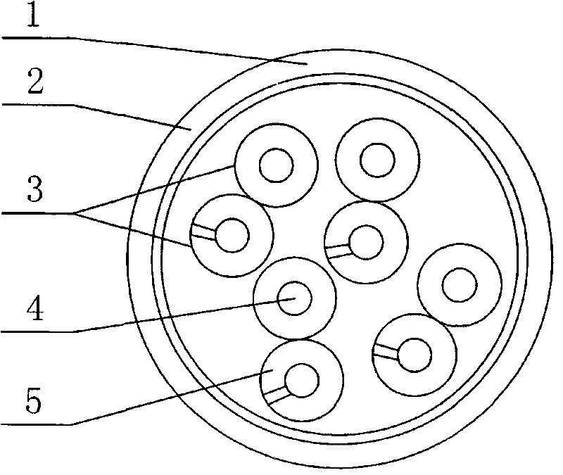 Process and structure of 2 nanosecond data line