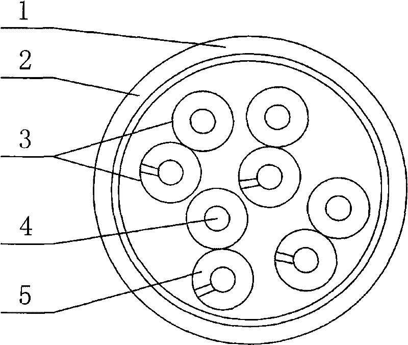 Process and structure of 2 nanosecond data line