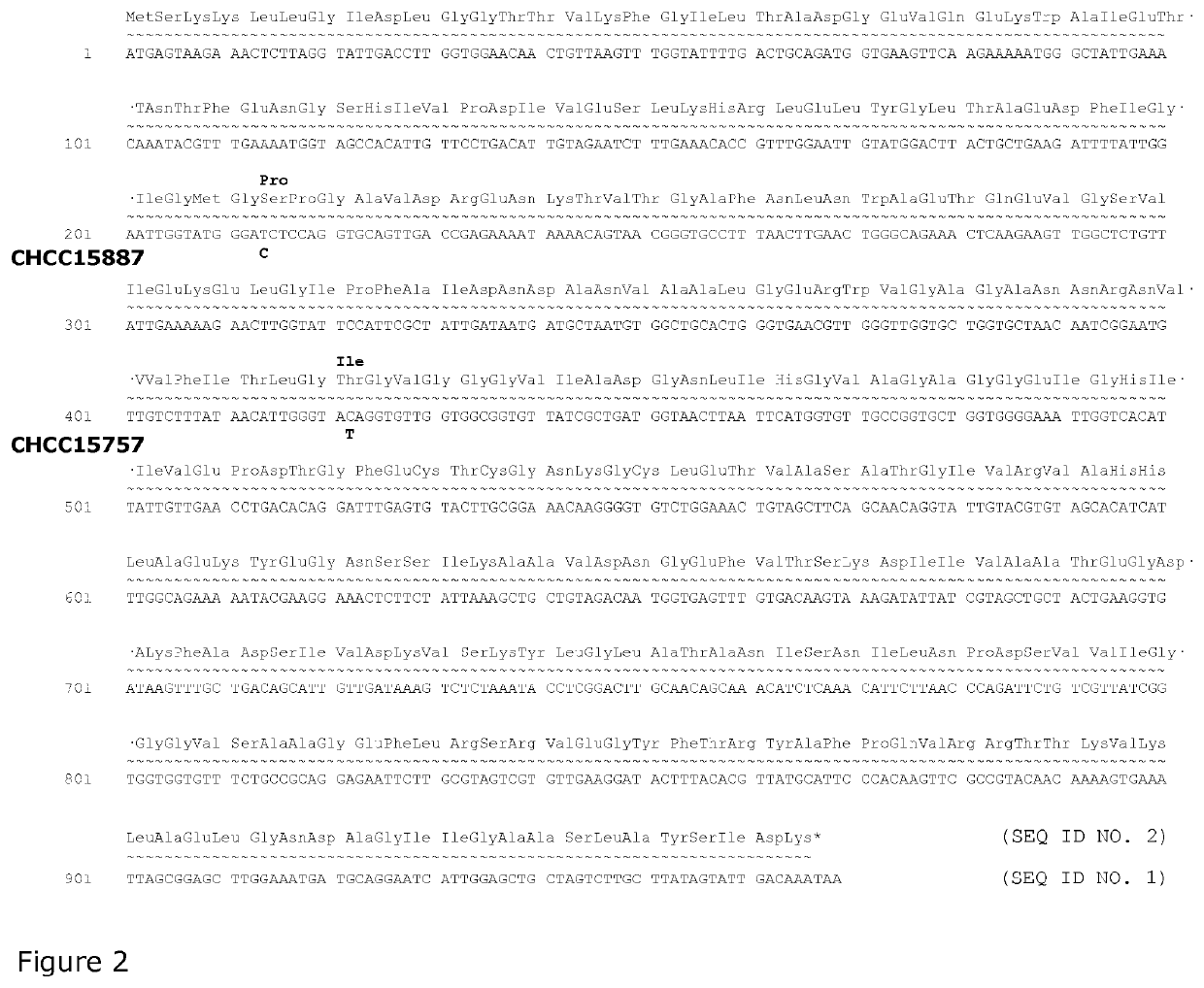 Use of lactic acid bacteria for preparing fermented food products with increased natural sweetness